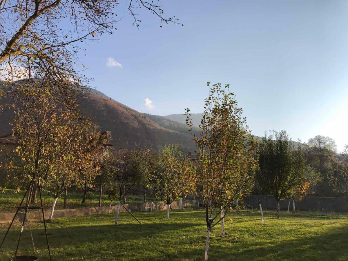 Вила Орехите Dupnitsa Exterior photo