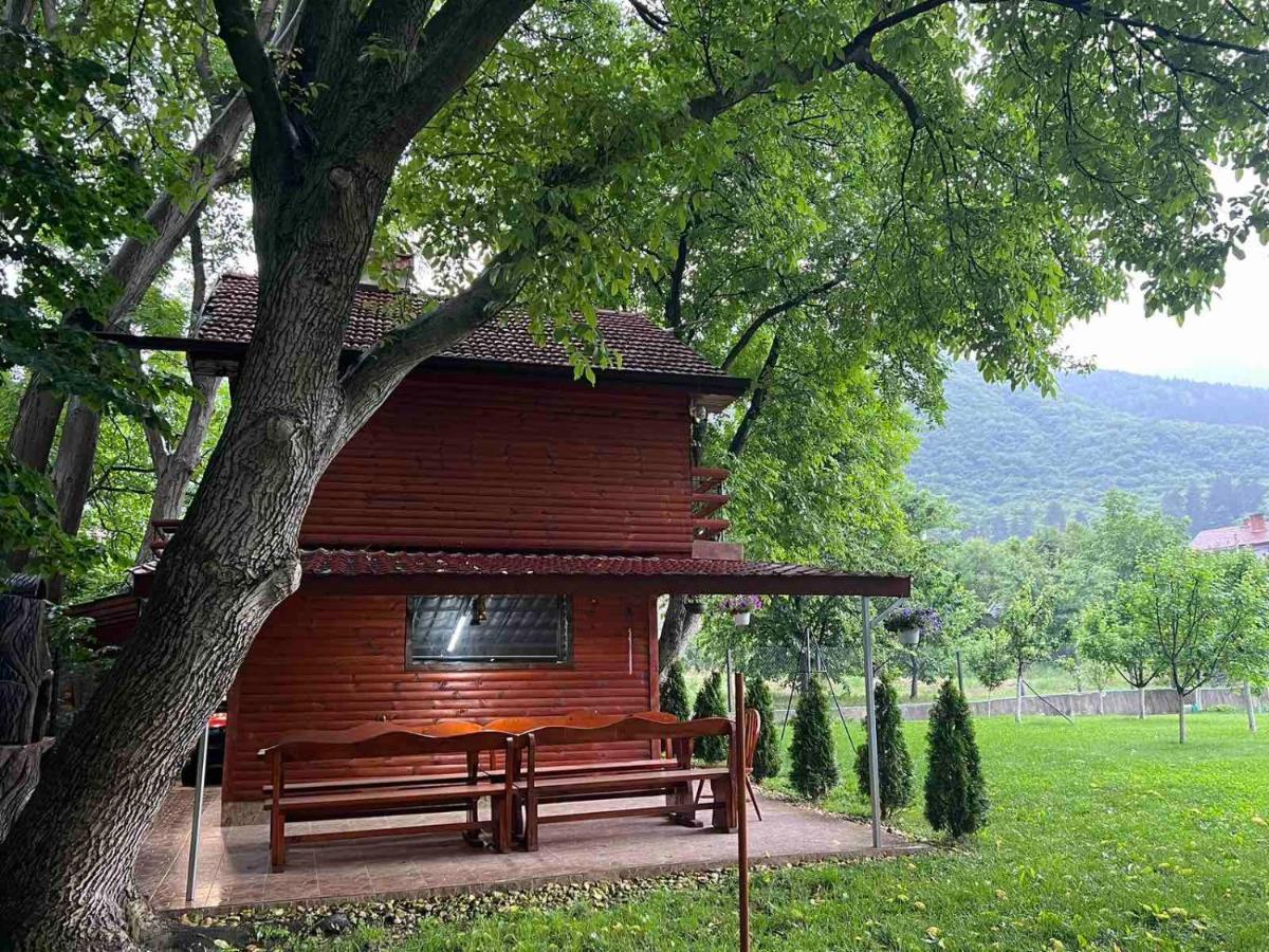 Вила Орехите Dupnitsa Exterior photo